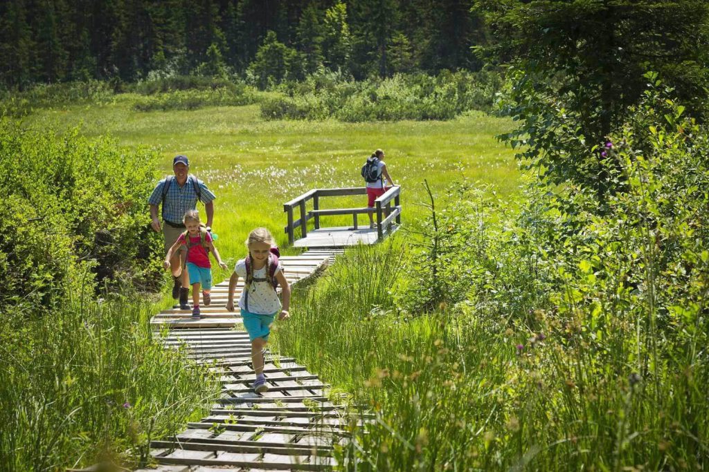 Moor & More - Familie Wandern in Oberndorf in Tirol