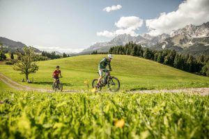 Bike rental