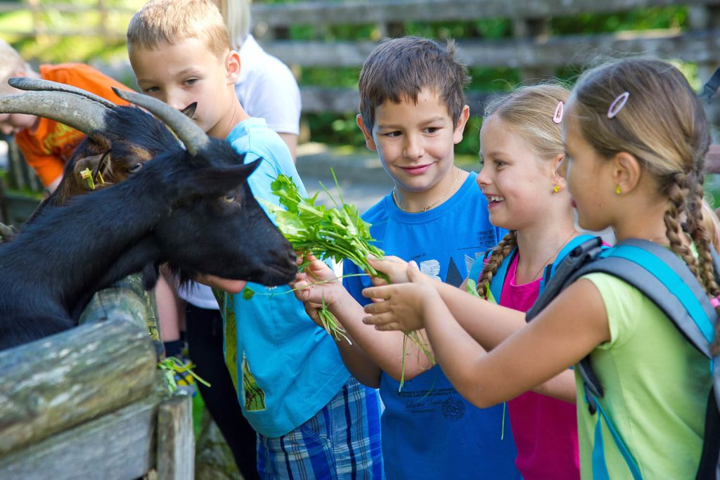 Familienurlaub Sommer Oberndorf in Tirol